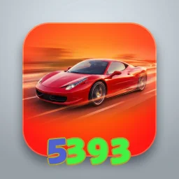 5393
